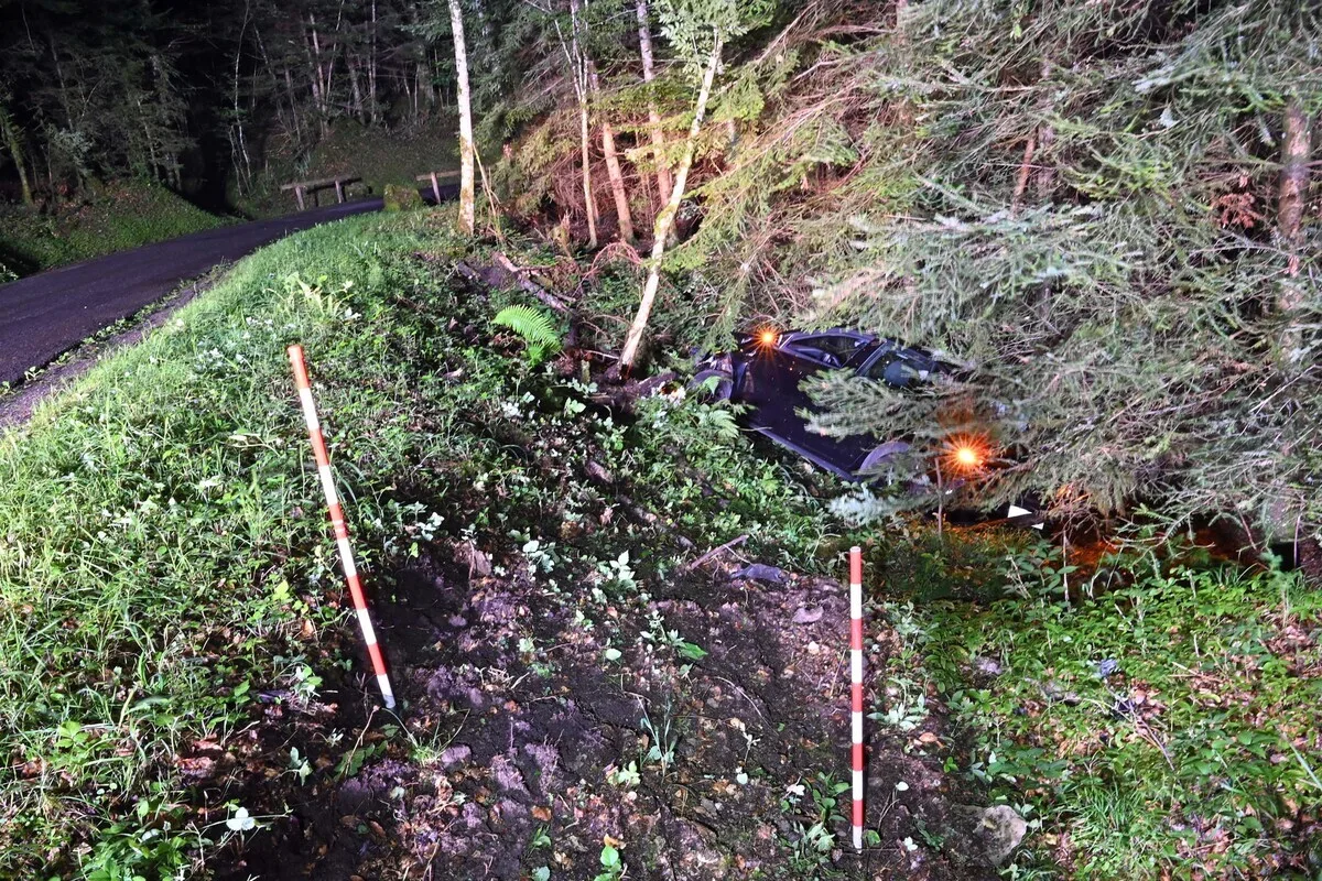 Unfall in Horw LU - Mit einem Baum kollidiert