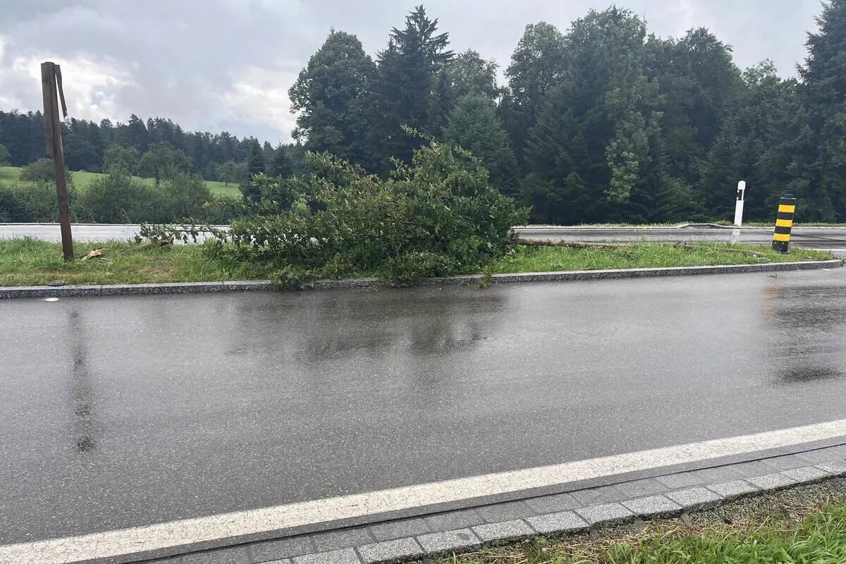 Unfall in St.Gallenkappel - Am Steuer eingeschlafen