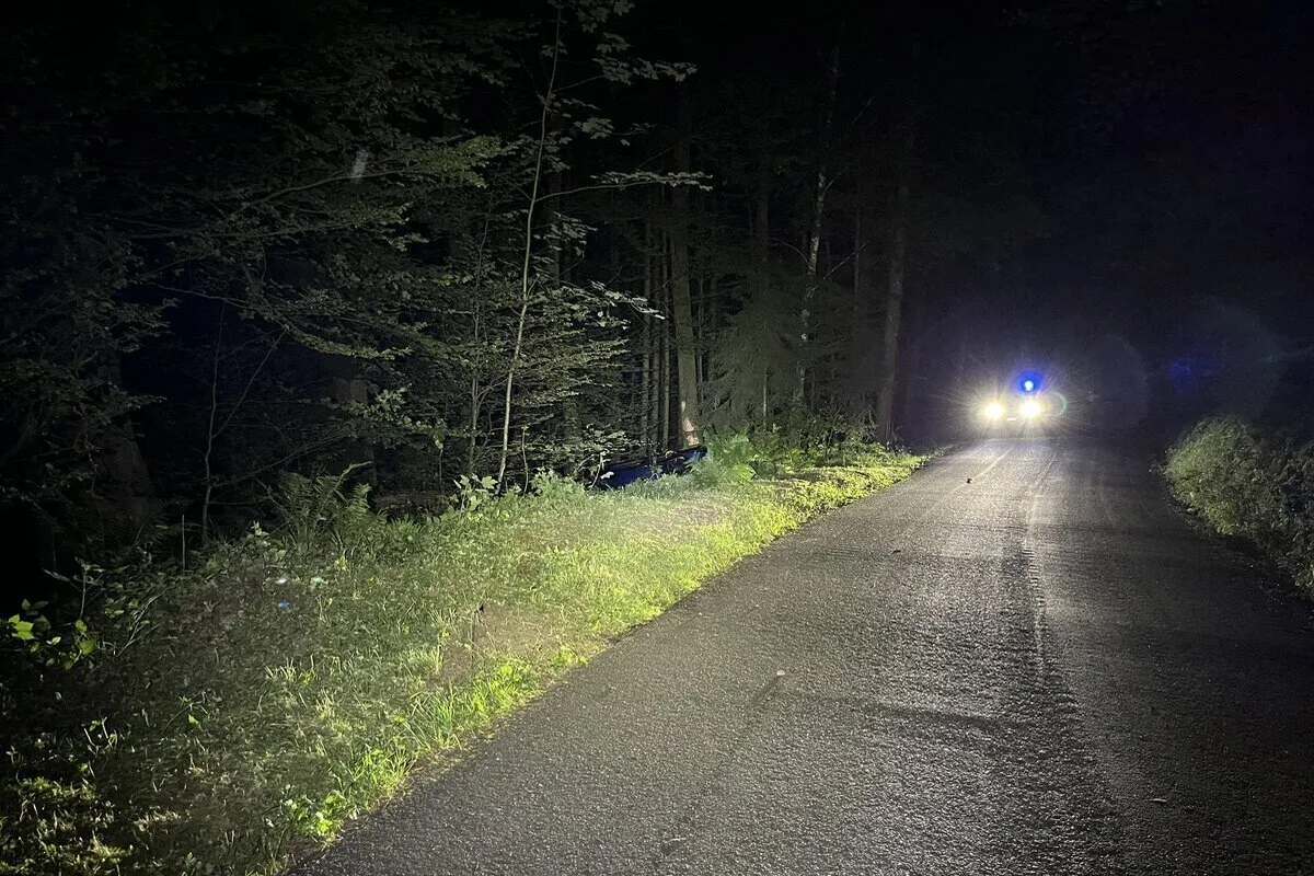 Zofingen AG - BMW-Fahrerin prallt gegen Baum - Führerausweis weg