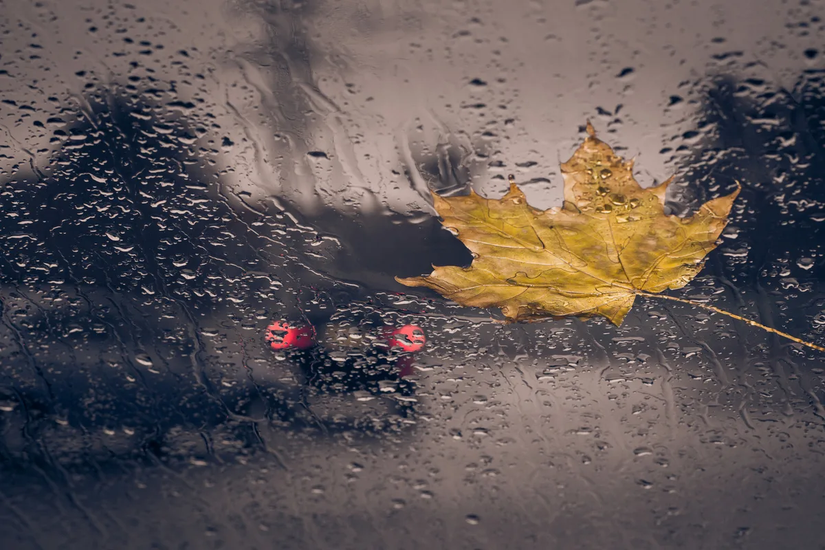 Aquaplaning – Ursachen, Warnsignale und Tipps zur Vorbeugung