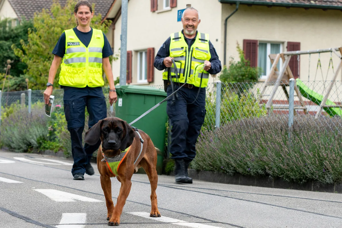 Würenlingen AG - Polizeihund «Farouk» spürt verunfallten Senioren auf 
