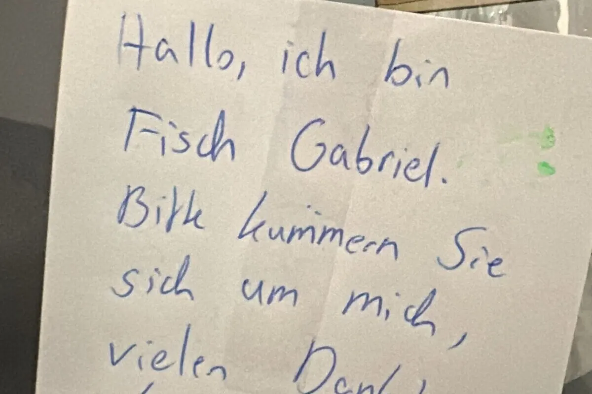 Hamburg – Fisch wurde zum Verschenken abgelegt 
