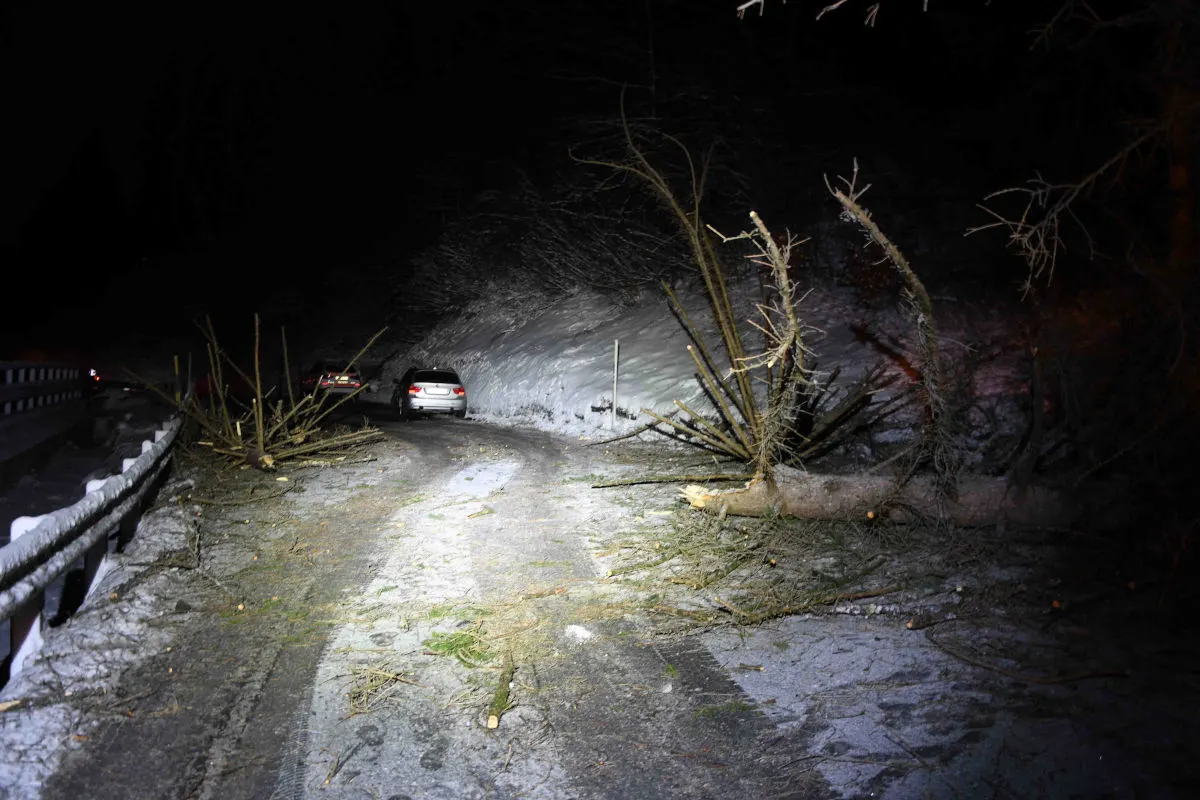Chur GR – Autofahrer von umstürzendem Baum getroffen