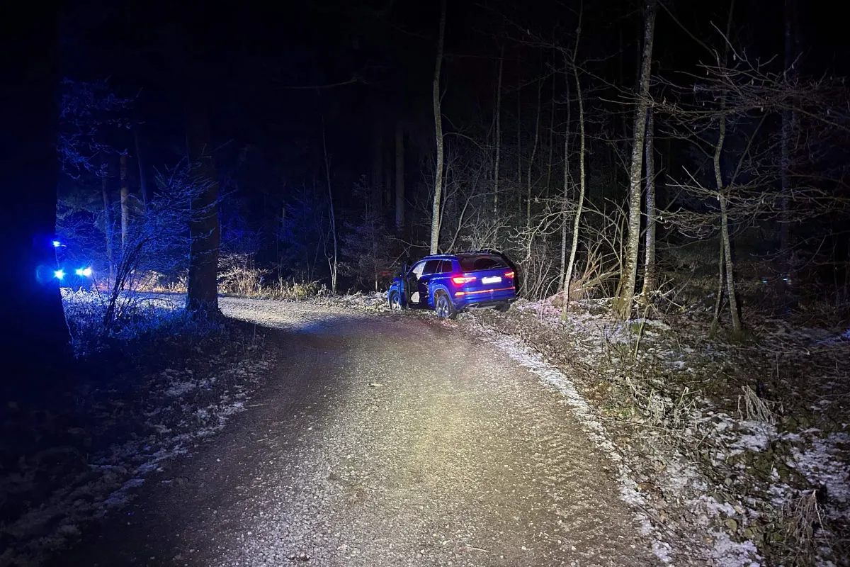 Merenschwand AG – Auf Waldweg Kontrolle verloren und in Baum geprallt
