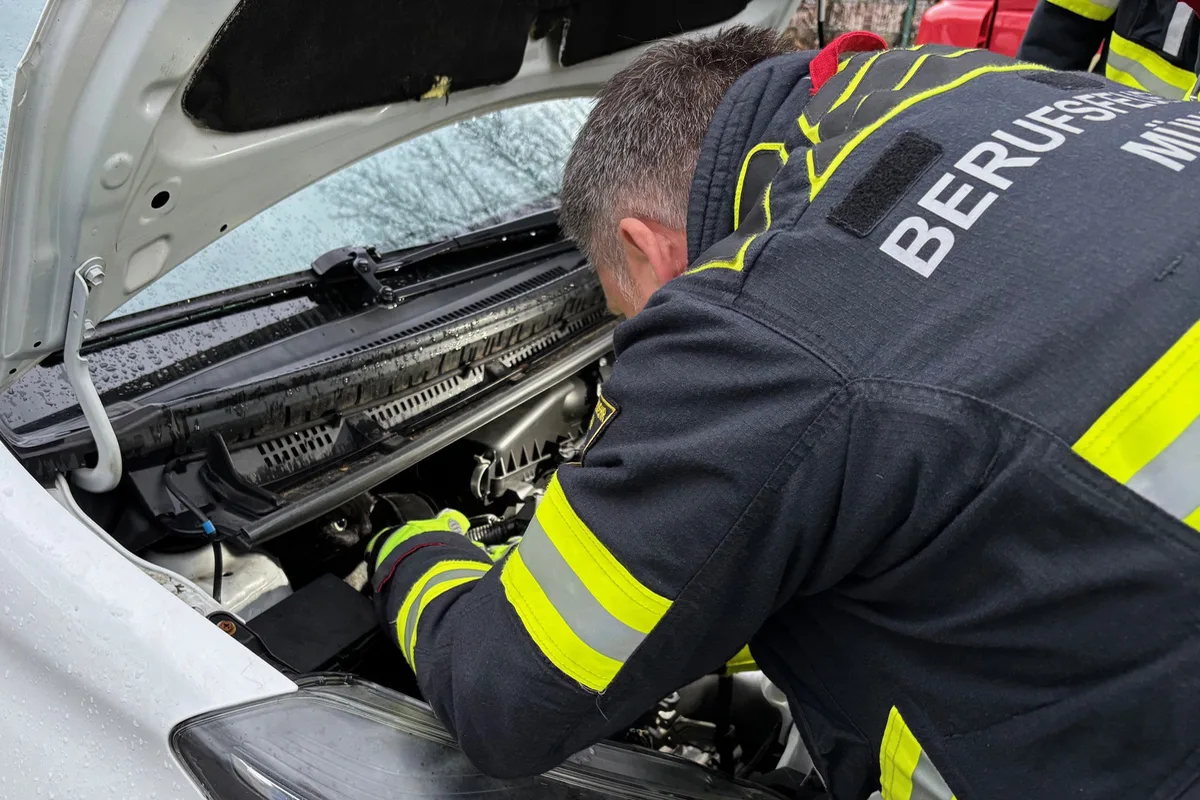Obersendling – Feuerwehr rettet Kater aus misslicher Lage