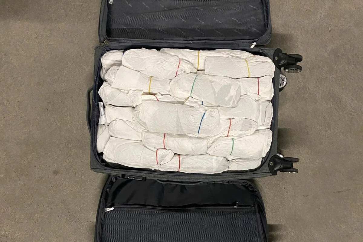Baar ZG – 30 Kilogramm Kath gefunden