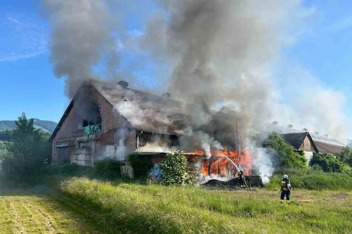 Luterbach SO – Lagerhalle bei Brand stark beschädigt