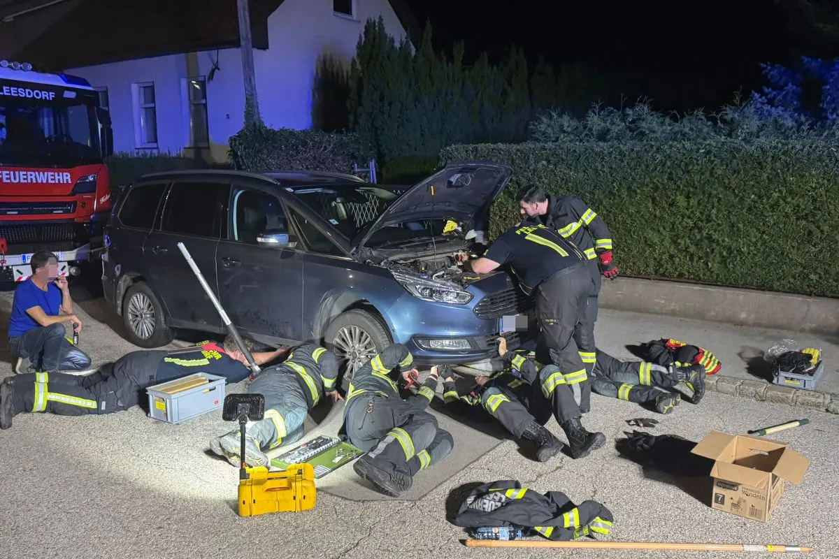Baden-Leesdorf NÖ – Katze aus Motorraum befreit