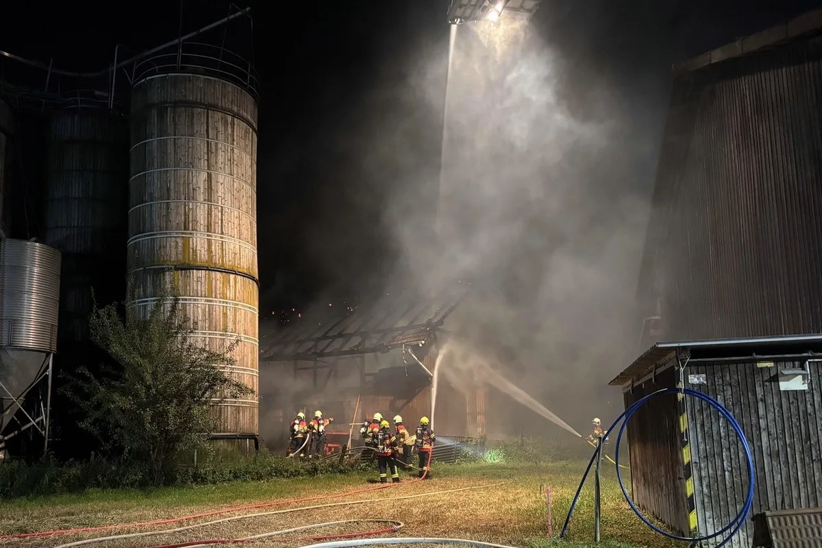 Wangen SZ – 200 Legehennen sterben bei Stallbrand