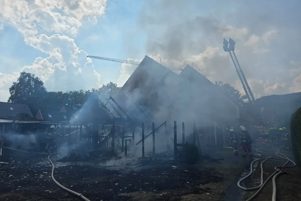 Bad Segeberg SH – Zwei Katzen bei Brand von Haus gerettet