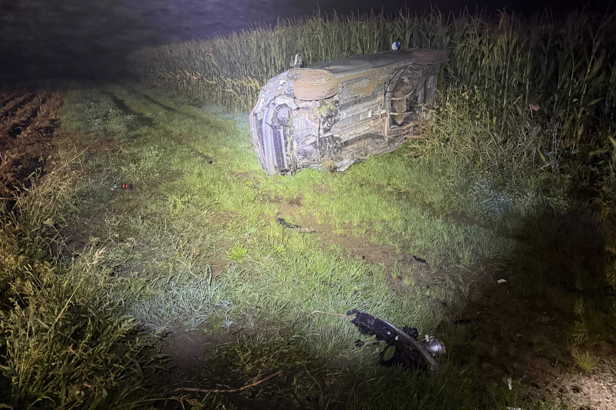 Endingen AG – Autolenker stirbt bei Selbstunfall
