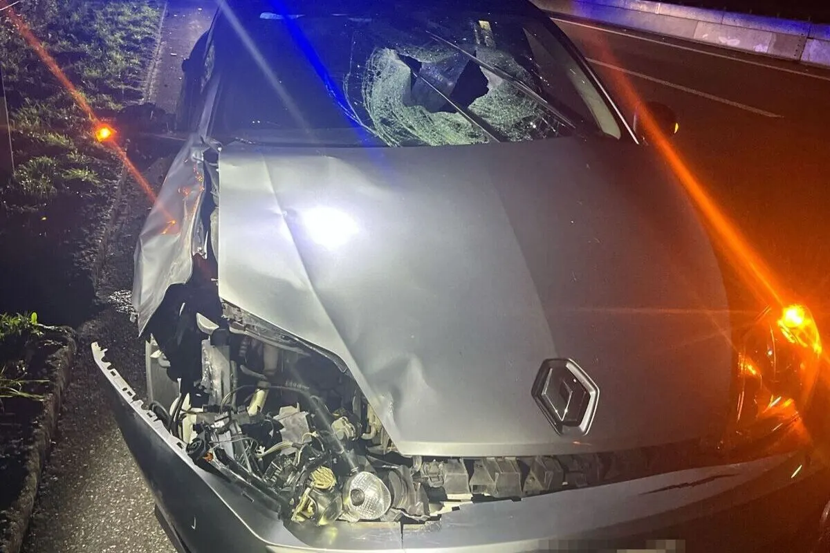 A1 Kriegstetten/Derendingen SO – Zwei Unfälle mit Hirsch in nur zehn Minuten