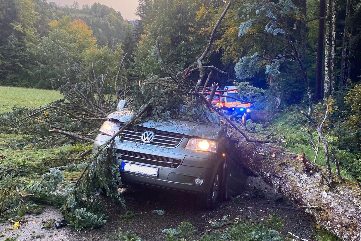 Freiburg  BW – Zwei Schwerverletzte nach Sturz von Baum auf Kleinbus 