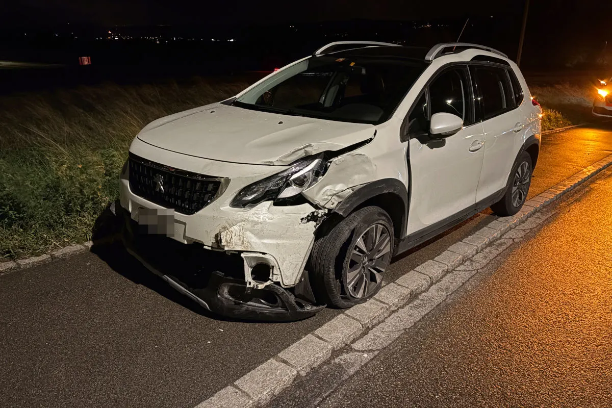 Berg TG – Alkoholisierter Lenker verursacht Unfall