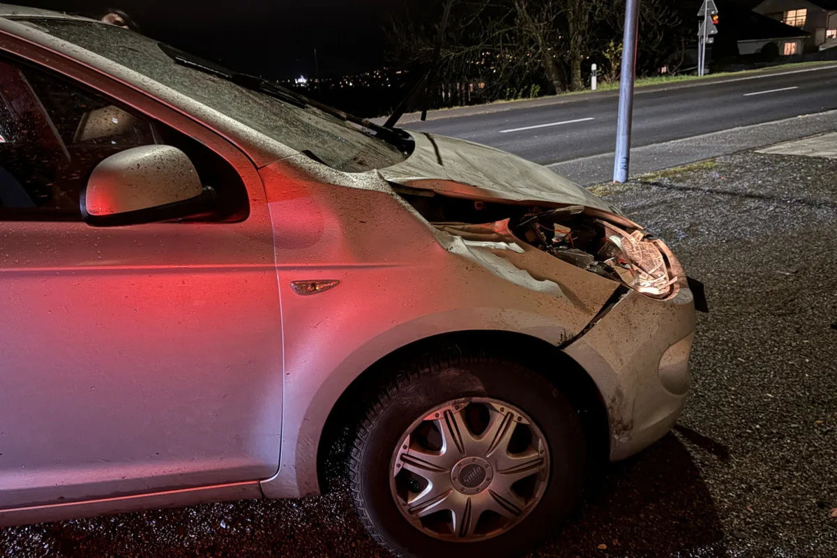 Wildunfall in Nendeln FL – Zwei Autos kollidieren mit Hirsch