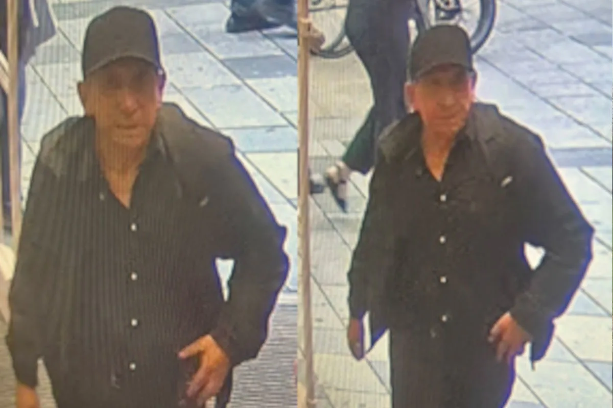 Wien - Fahndung nach Diebesduo 