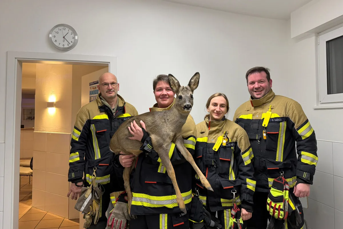 Vallendar RP – Feuerwehr befreit Reh aus Zaun