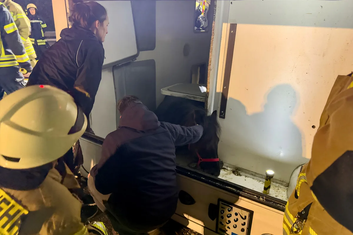 A28 Oldenburg NI – Pferdetransporter kippt auf Autobahn um