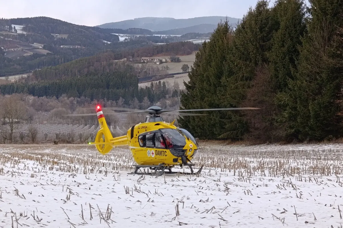 Forstunfall in Puch bei Weiz – Mann erst am Morgen gefunden