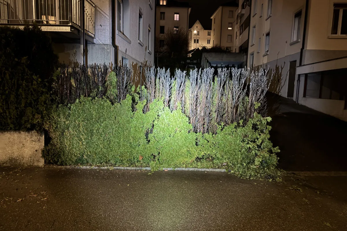 St.Gallen – Hecke in Brand geraten