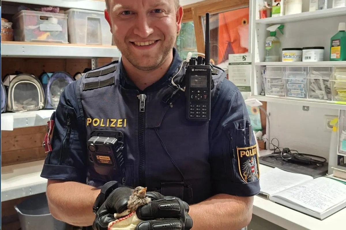 Tierische Einsätze in Österreich im Jahresrückblick