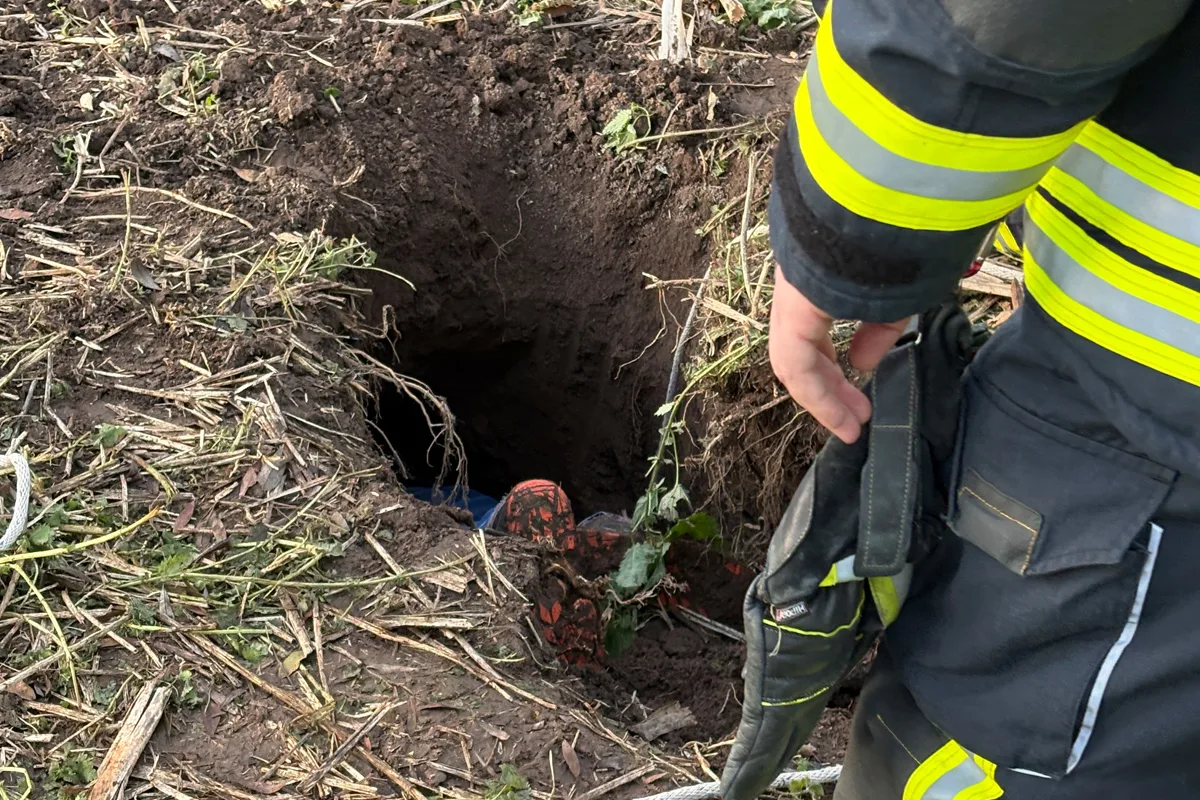 Tierische Rettungen von Feuerwehr und Polizei 2025 – Teil 3