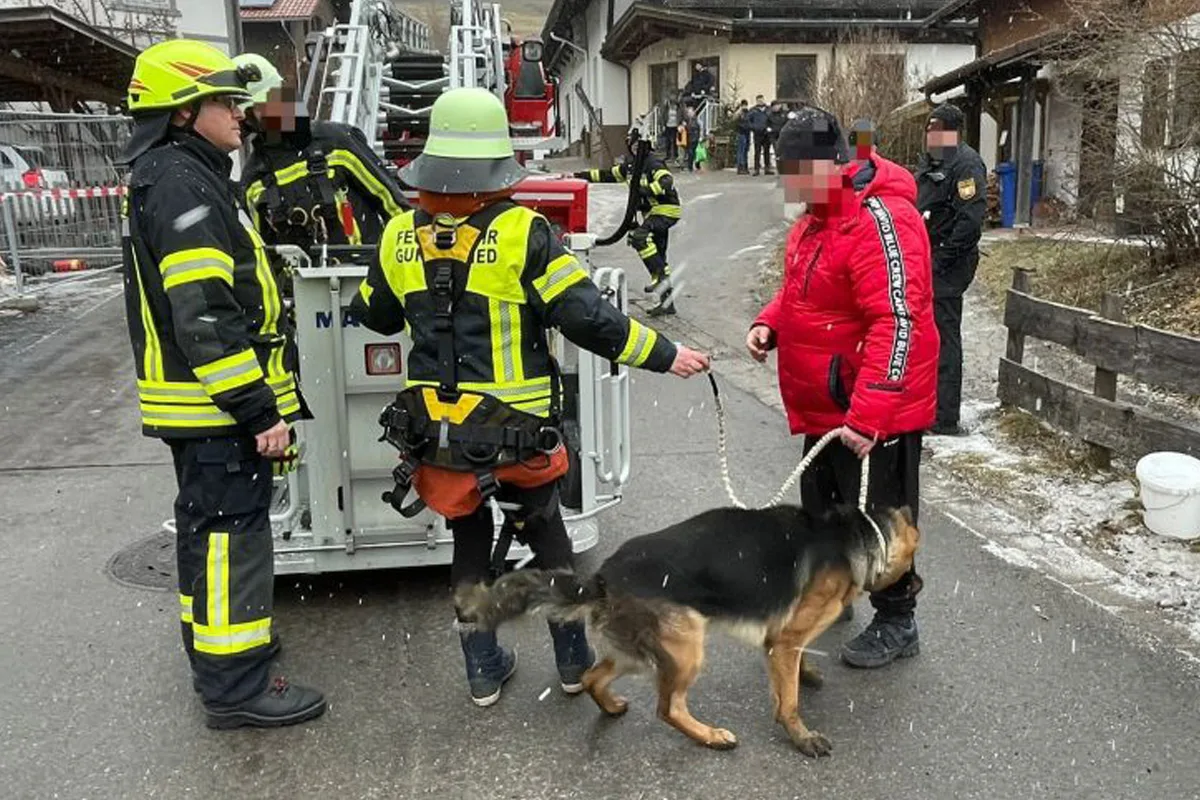 Gunzesried – Hund nach 32 Stunden aus Brandruine gerettet