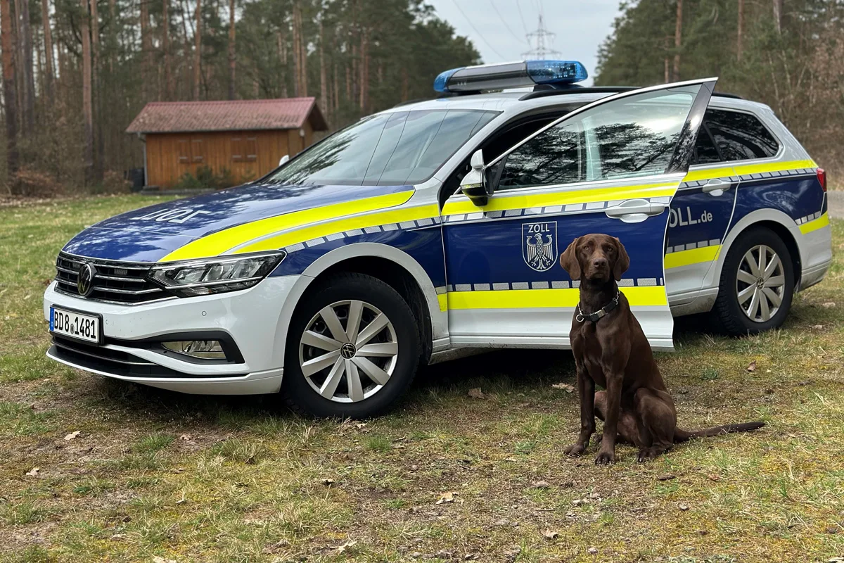 Bamberg – Neues Hundeteam beim Zoll im Einsatz