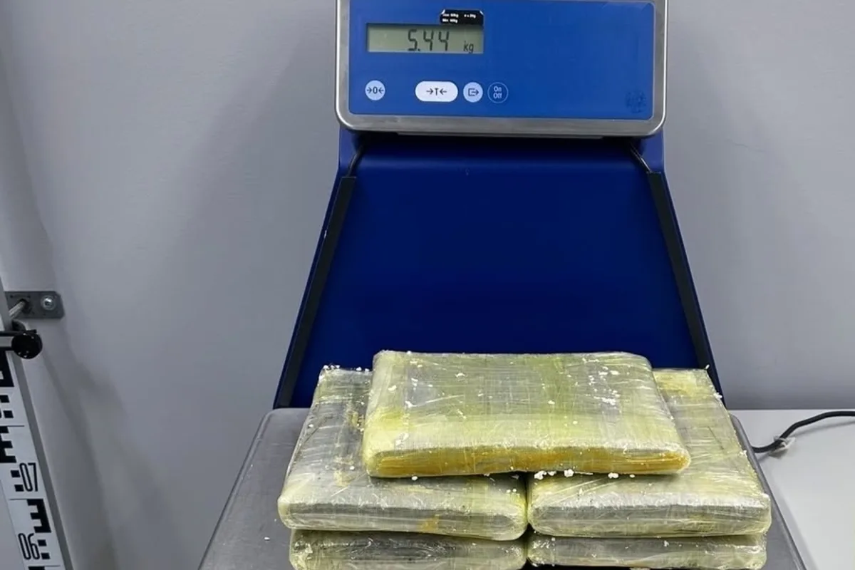 Diensthunde entdecken Marihuana am Flughafen Zürich
