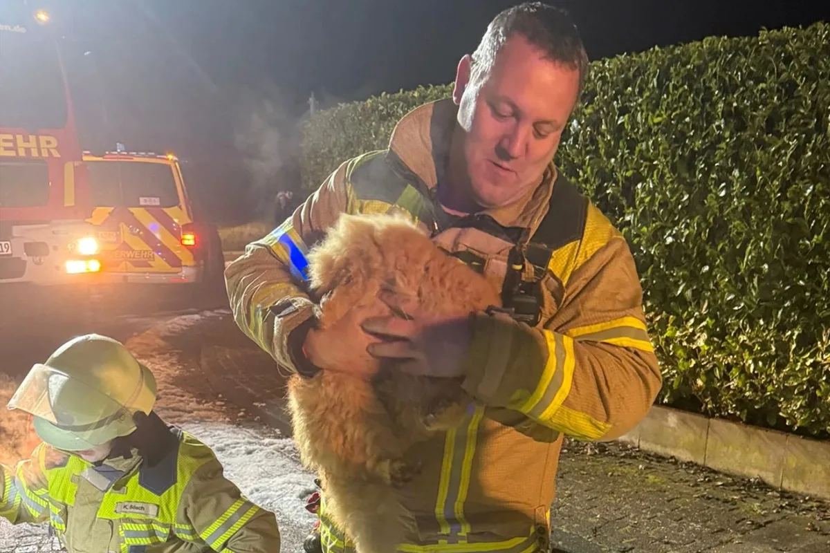 Wiepenkathen – Kater nach 14 Tagen aus Kanalisation gerettet