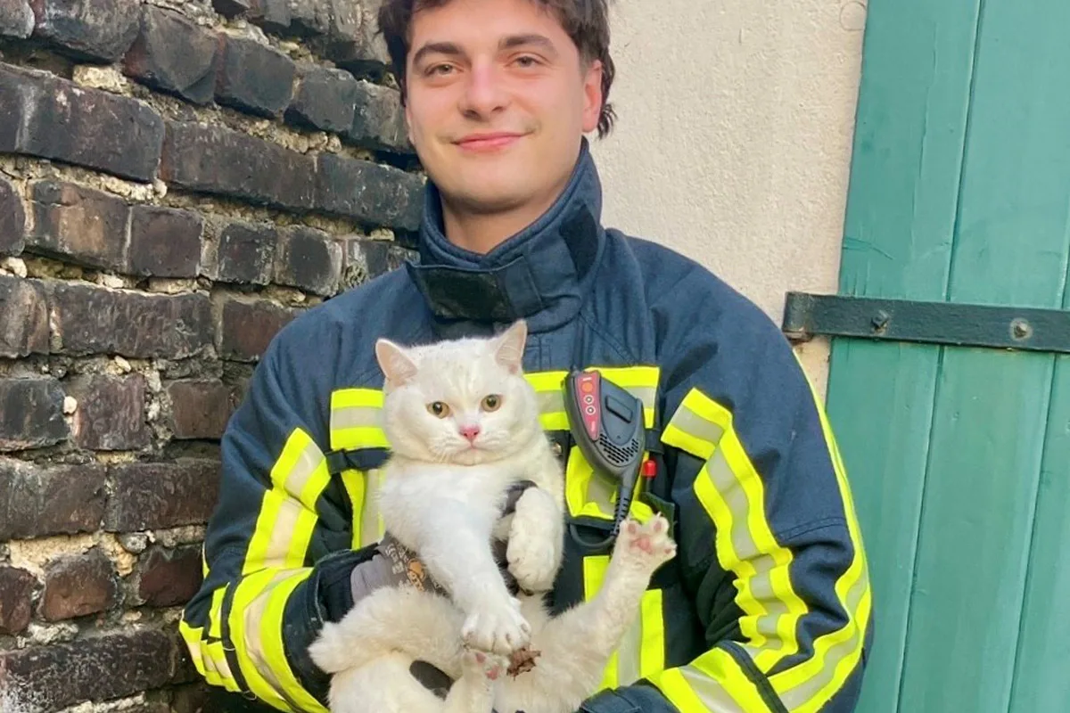 Bochum – Feuerwehr befreit junge Katze aus Notlage