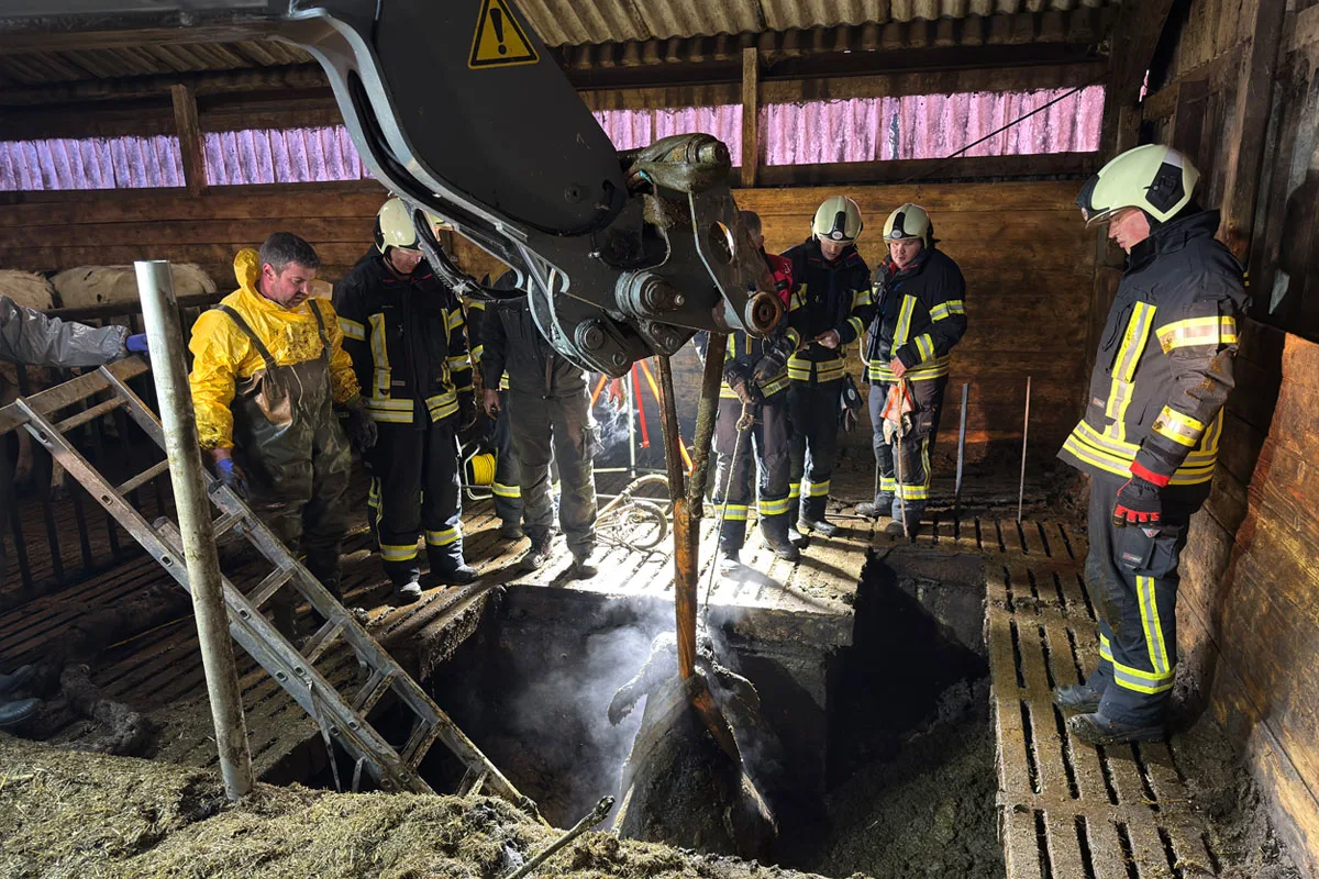 Aurich – Feuerwehr rettet zwei Kühe aus Güllegrube