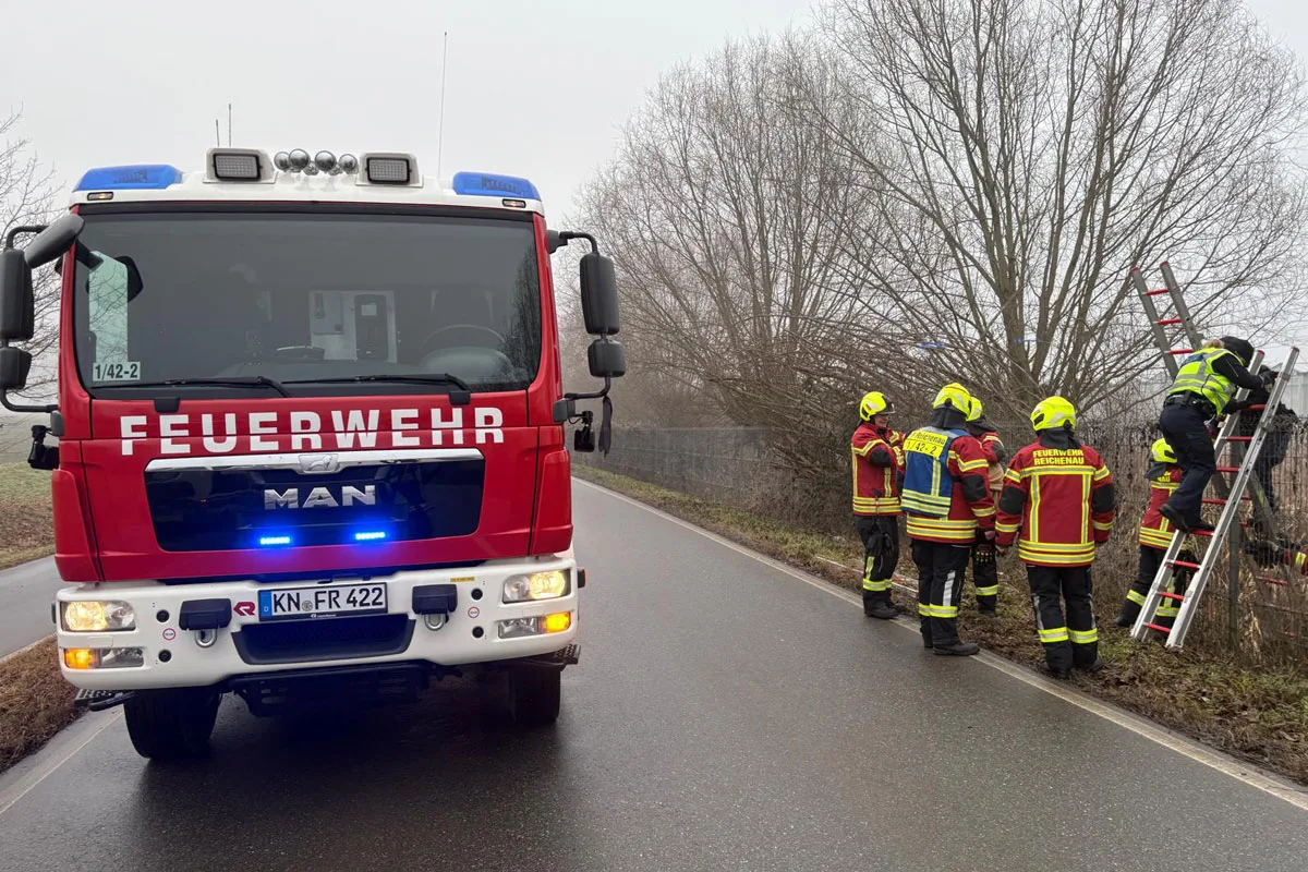 Reichenau – Feuerwehr rettet verletzten Schwan von Bahngleis