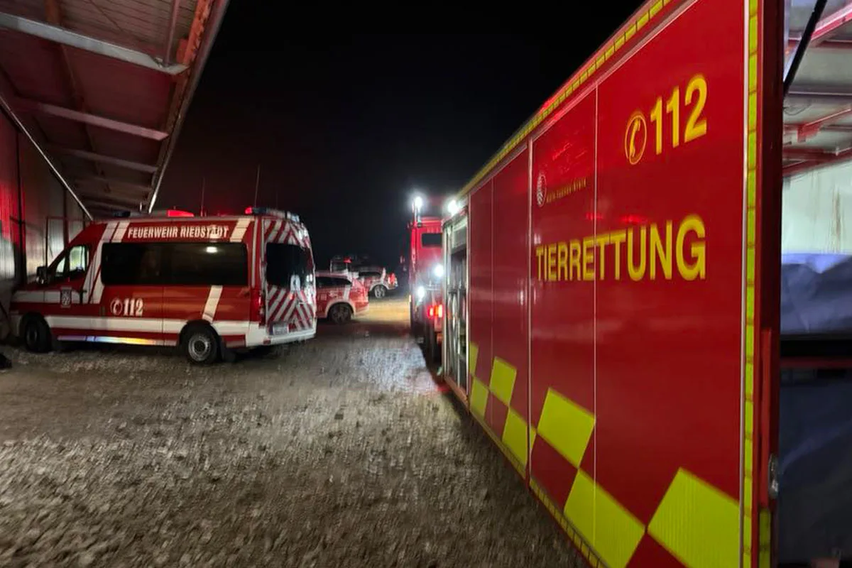 Riedstadt –  Rund 500 Schweine sterben bei Großbrand