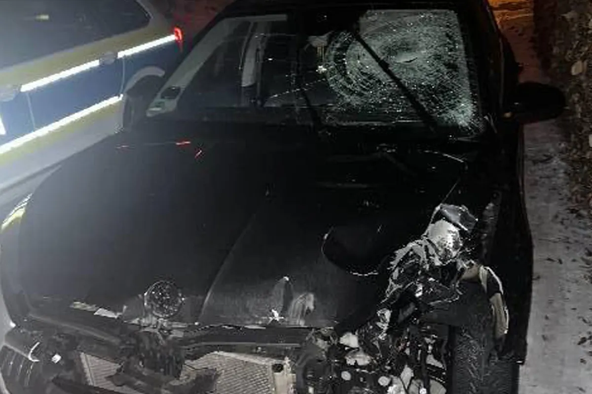 Buxtehude – Fahrer rammt Ampel und begeht Unfallflucht