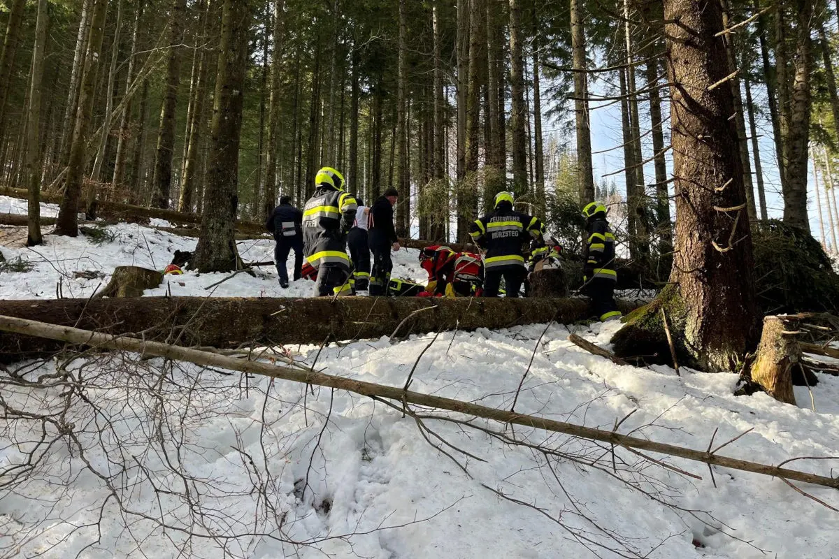 Neuberg an der Mürz – Forstarbeiter bei Unfall schwer verletzt