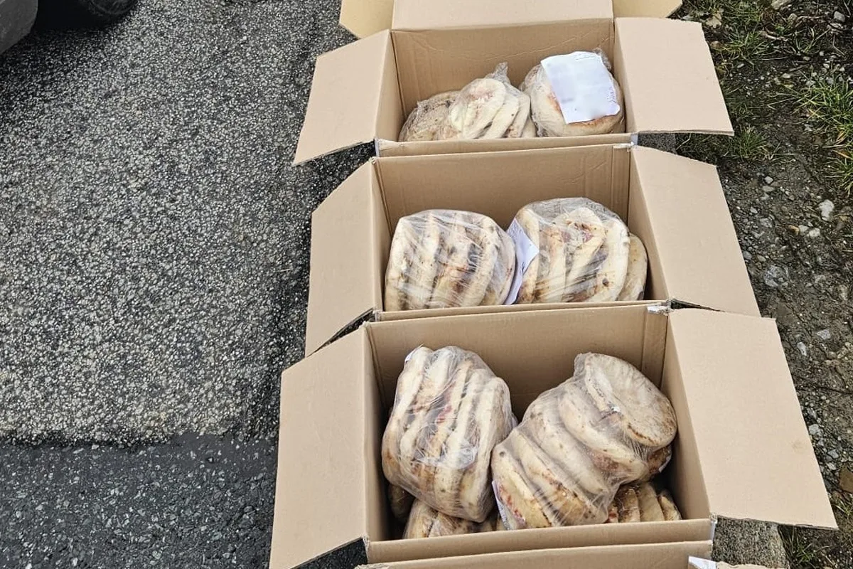 Würzburg – Zoll stoppt ungekühlten Transport von Tiefkühlware
