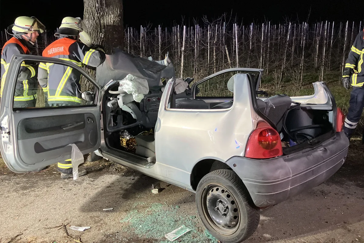 Mittelnkirchen – Fahrer prallt gegen Baum und wird schwer verletzt