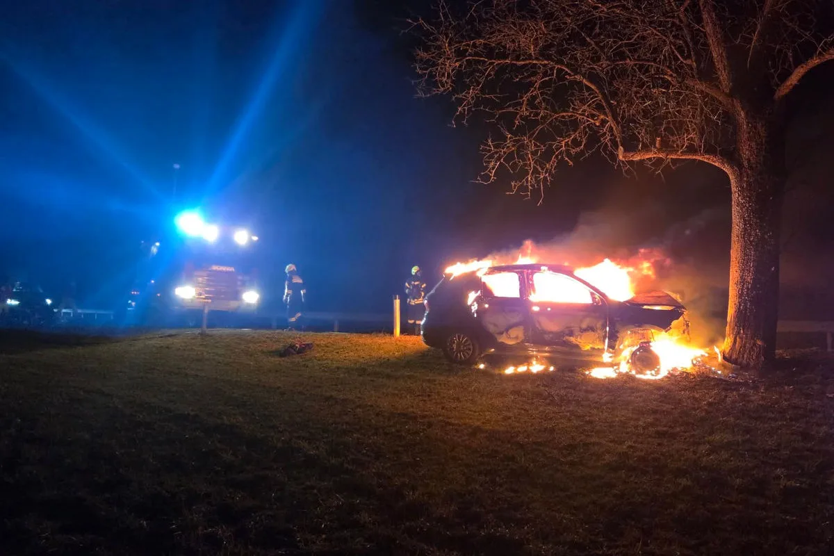 Tödlicher Unfall in Frankenfels – Pkw prallt gegen Baum