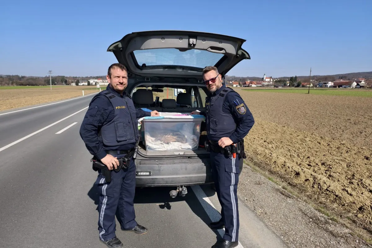 Rudersdorf – Polizei rettet verletzten Uhu