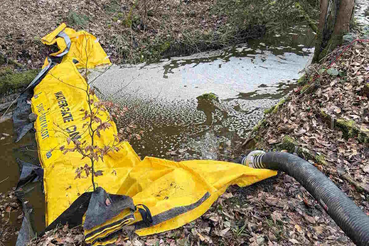 Mosnang SG – Geplatzte Jaucheleitung verschmutzt Bach