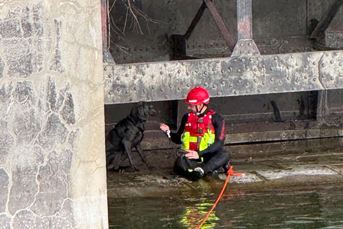 München – Feuerwehr rettet Hund aus der Isar