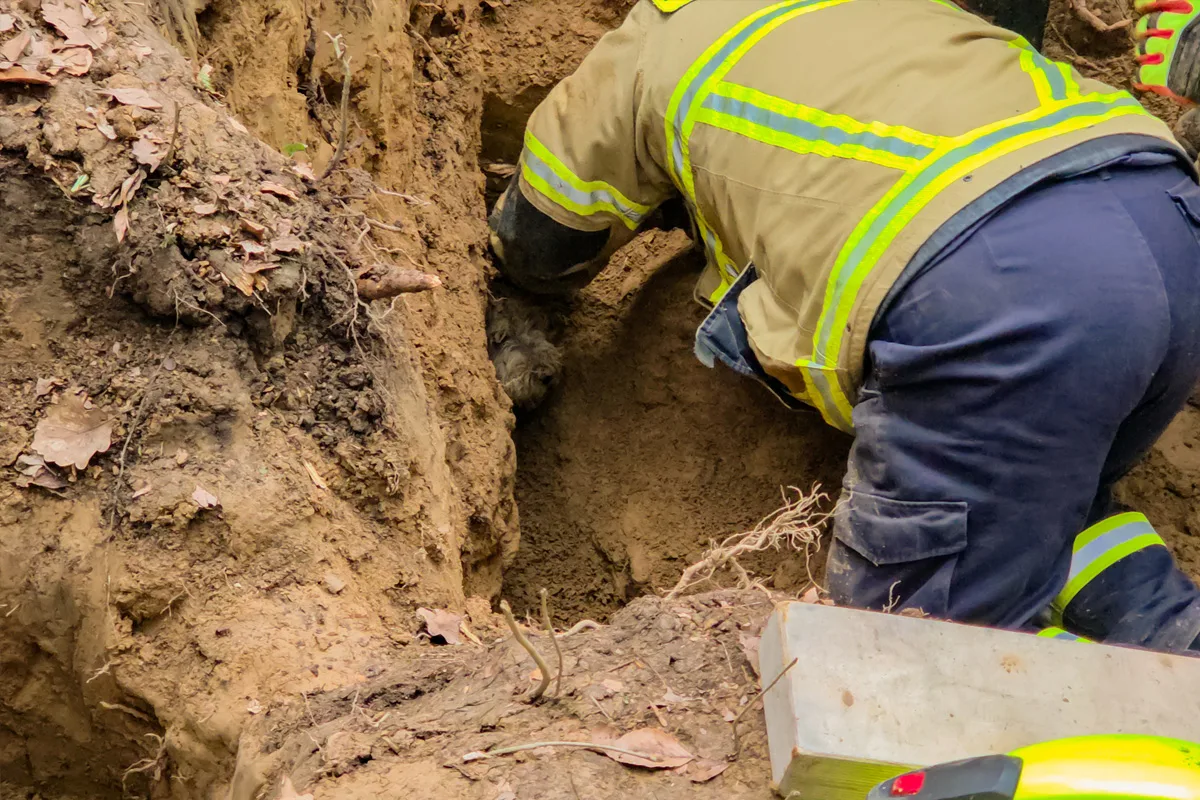 Wachtberg – Feuerwehr befreit Hund aus Fuchsbau
