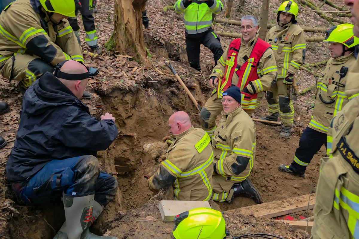 Wachtberg – Feuerwehr befreit Hund aus Fuchsbau
