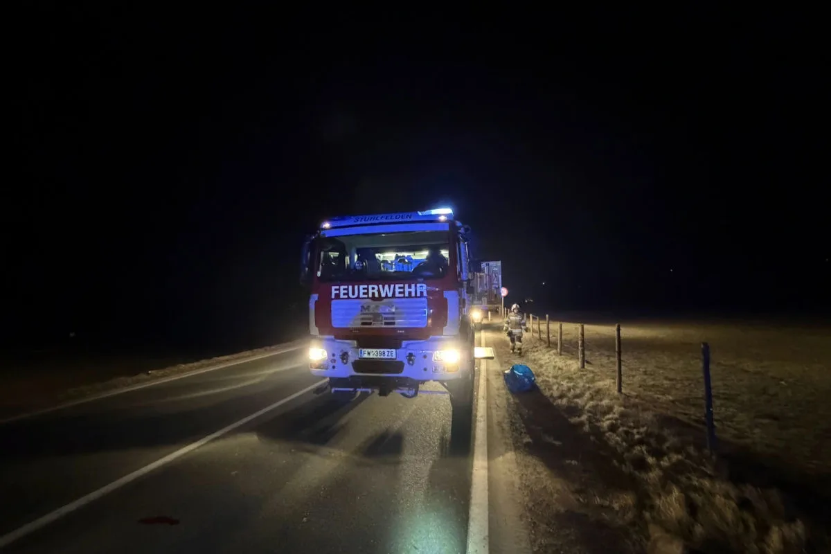 Stuhlfelden – Unfall wegen Dachs auf Fahrbahn