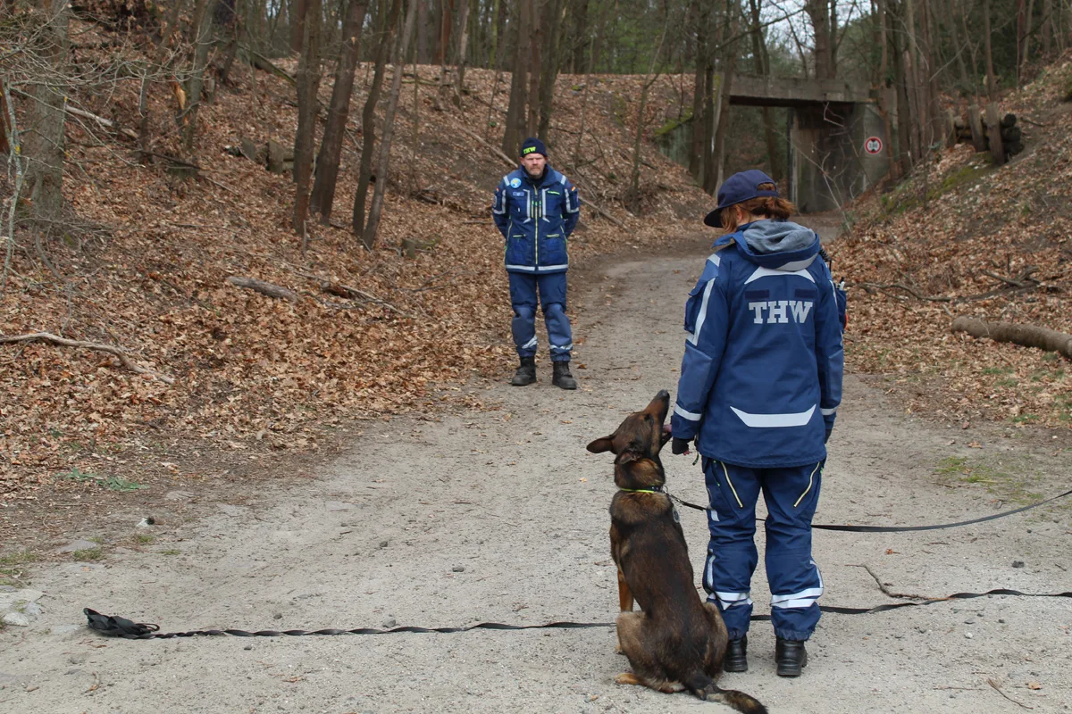 Berlin – Erstes bundesweites Treffen von Rettungshunden