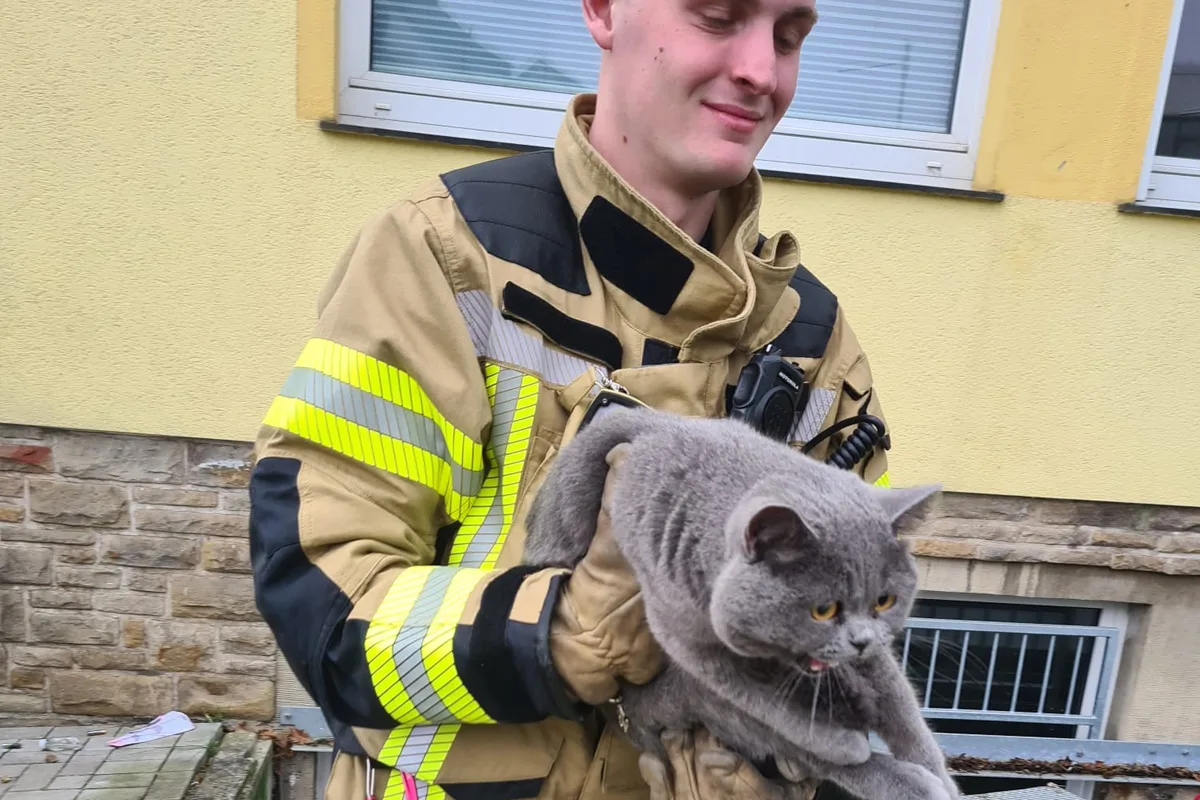 Ennepetal – Feuerwehr rettet Katze aus Lichtschacht