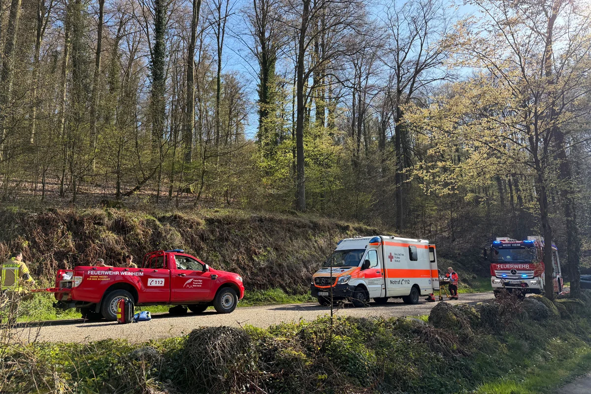 Weinheim – Spaziergänger aus steilem Gelände gerettet