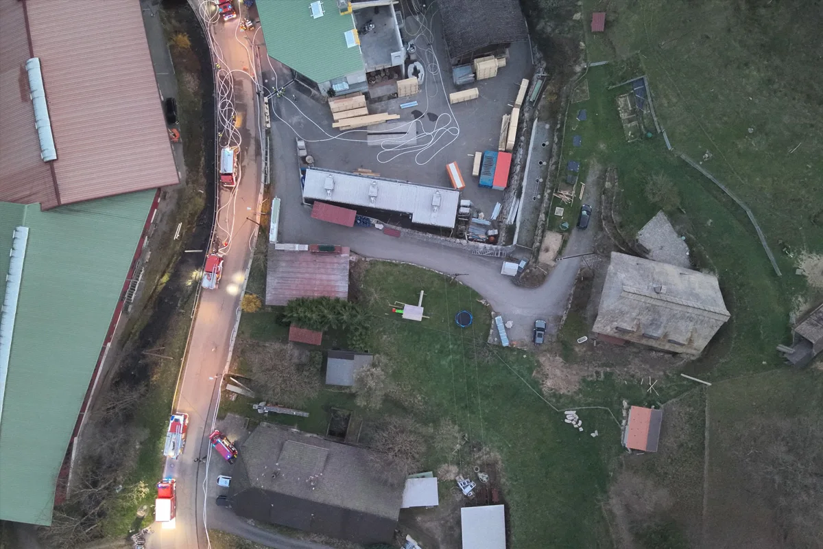Oberharmersbach – Millionenschaden nach Brand in Holzunternehmen