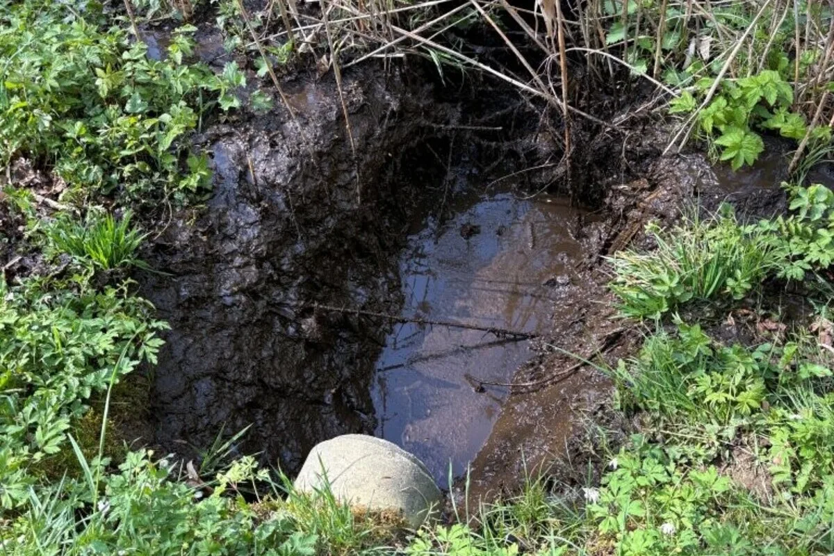 Neuhaus SG – Gülle läuft in Weiher